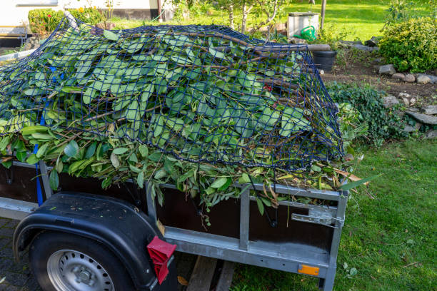 Best Retail Junk Removal  in Roseburg, OR